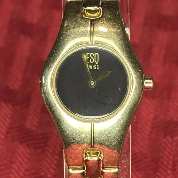 ESQ Allita 22mm Watch / New Watch, Old Stock / Orig MSRP $235